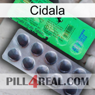 Cidala new04